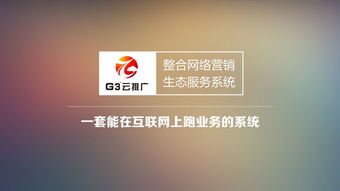 哈爾濱網(wǎng)絡(luò)推廣公司 計算機系統(tǒng)服務(wù)行業(yè)年度推廣費用解析