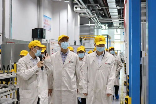 打響“三個高地”品牌，以計算機(jī)系統(tǒng)服務(wù)賦能最美茶陵縣域發(fā)展