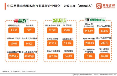艾媒咨詢2023年中國品牌電商服務商行業(yè)研究報告解析
